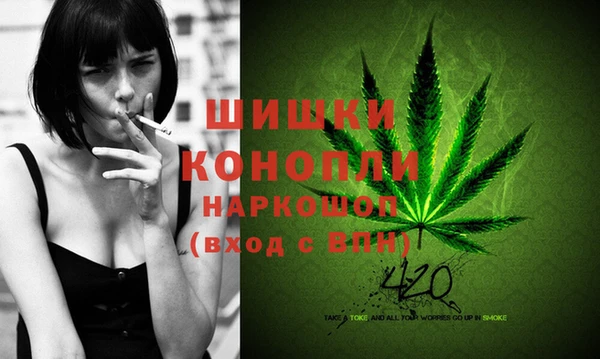 винт Алзамай