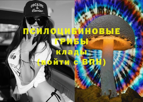 мяу мяу мука Алексин
