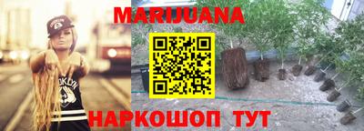a pvp Дмитров