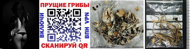 Псилоцибиновые грибы мицелий Темрюк