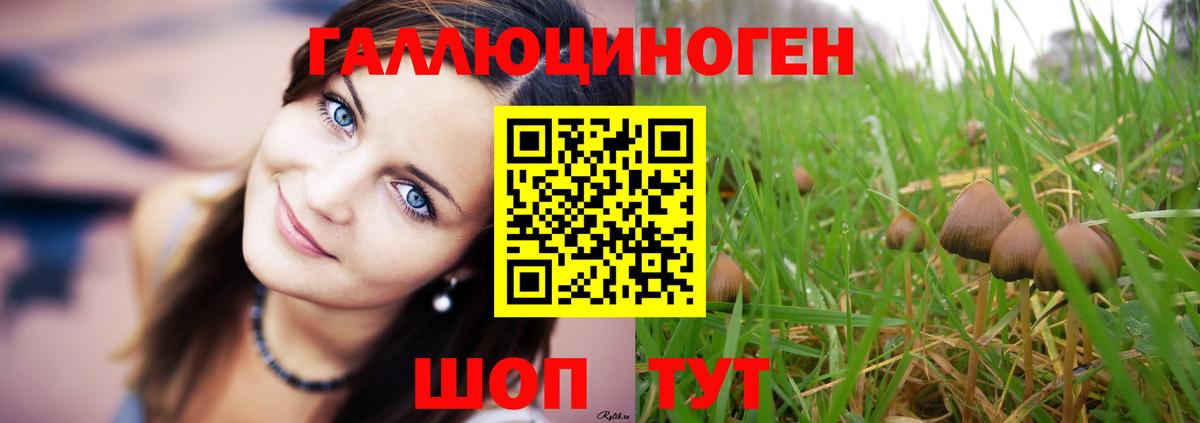 Псилоцибиновые грибы Magic Shrooms  Галлюциногенные грибы прущие грибы  Вход с VPN  Темрюк 